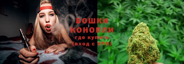 шишки Покачи