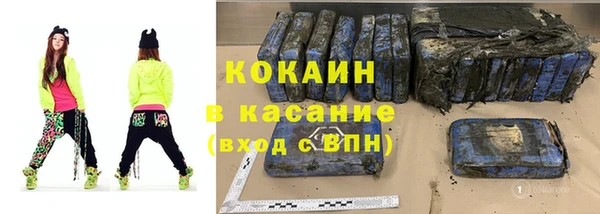 шишки Покачи