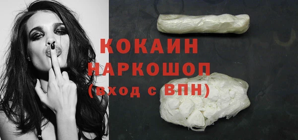 шишки Покачи