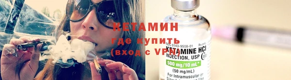 шишки Покачи