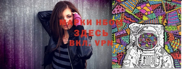 шишки Покачи