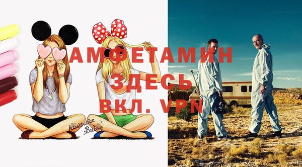 шишки Покачи