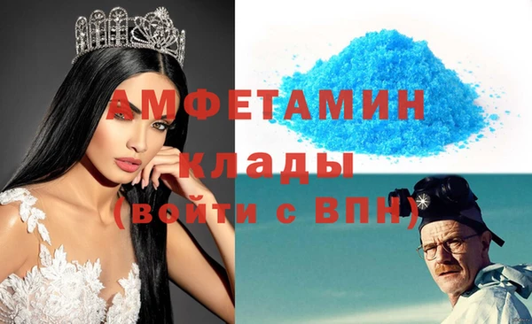 шишки Покачи