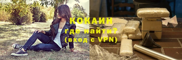 шишки Покачи