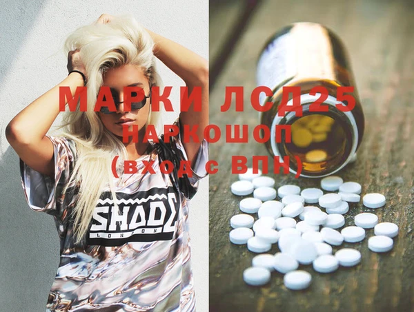 шишки Покачи