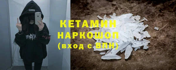 шишки Покачи